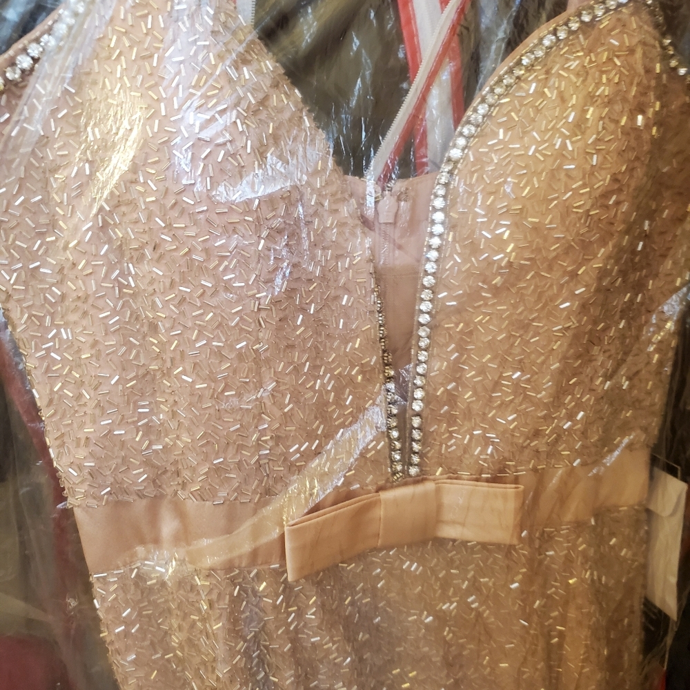 COPY - Sherry Hill Formal Beaded